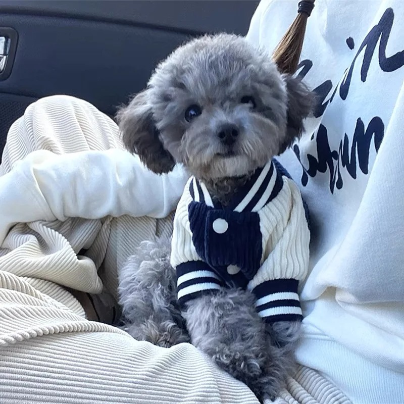 Winter Clothing For Babies - Costume for Dog Clothes Chihuahua Jeans