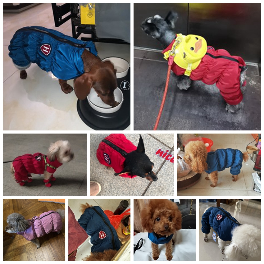 Zipper Snow Unisex Dog Waterpr - Winter Clothing For Babies avis et prix