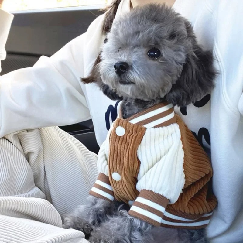 Costume for Dog Clothes Chihua - Winter Clothing For Babies avis et prix