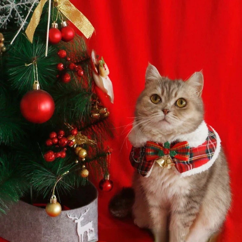 Warm Teddy Collar Pet Scarf Ca - Winter Clothing English avis et prix