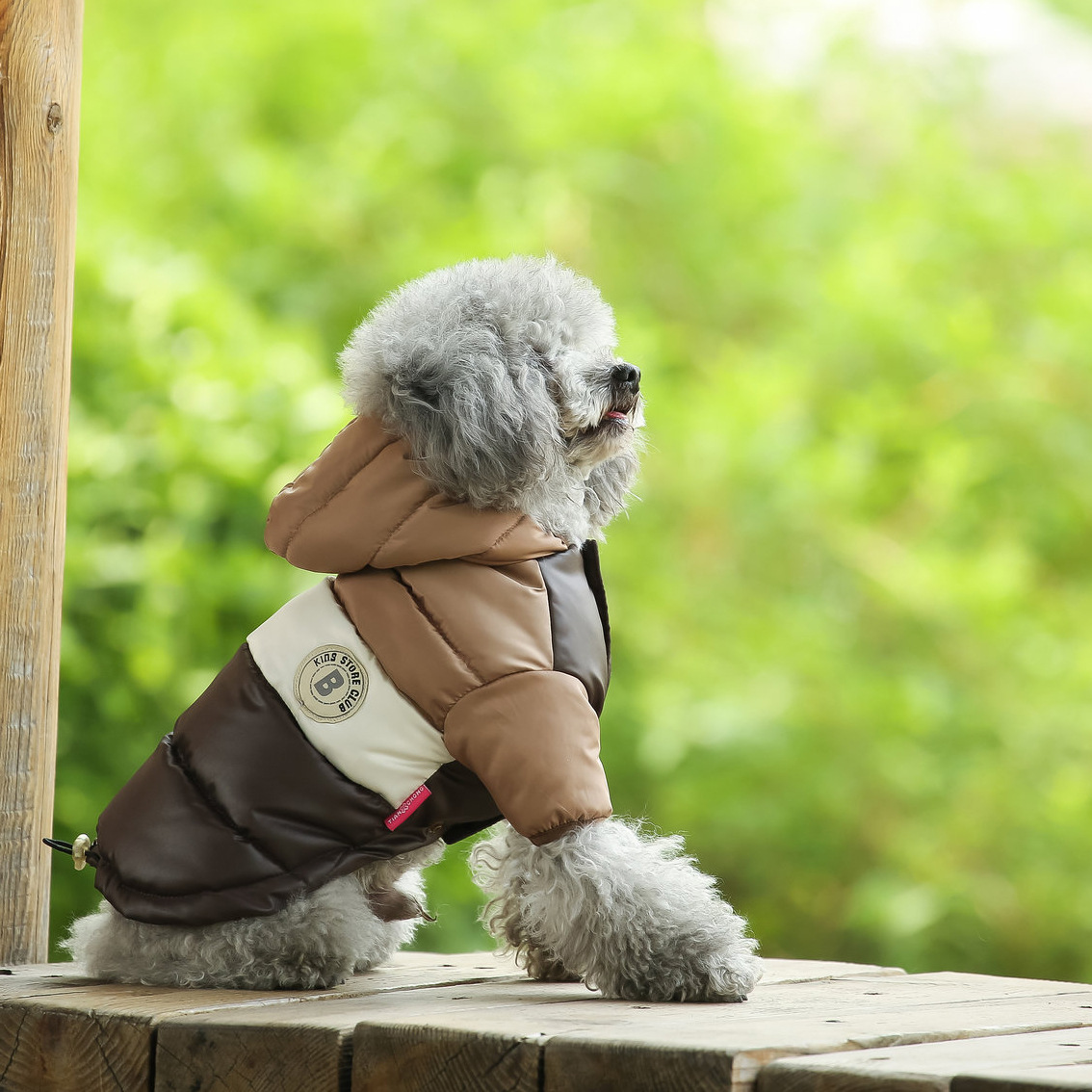 Pet Vest Pet Supplies Winter C - Winter Clothing Options avis et prix