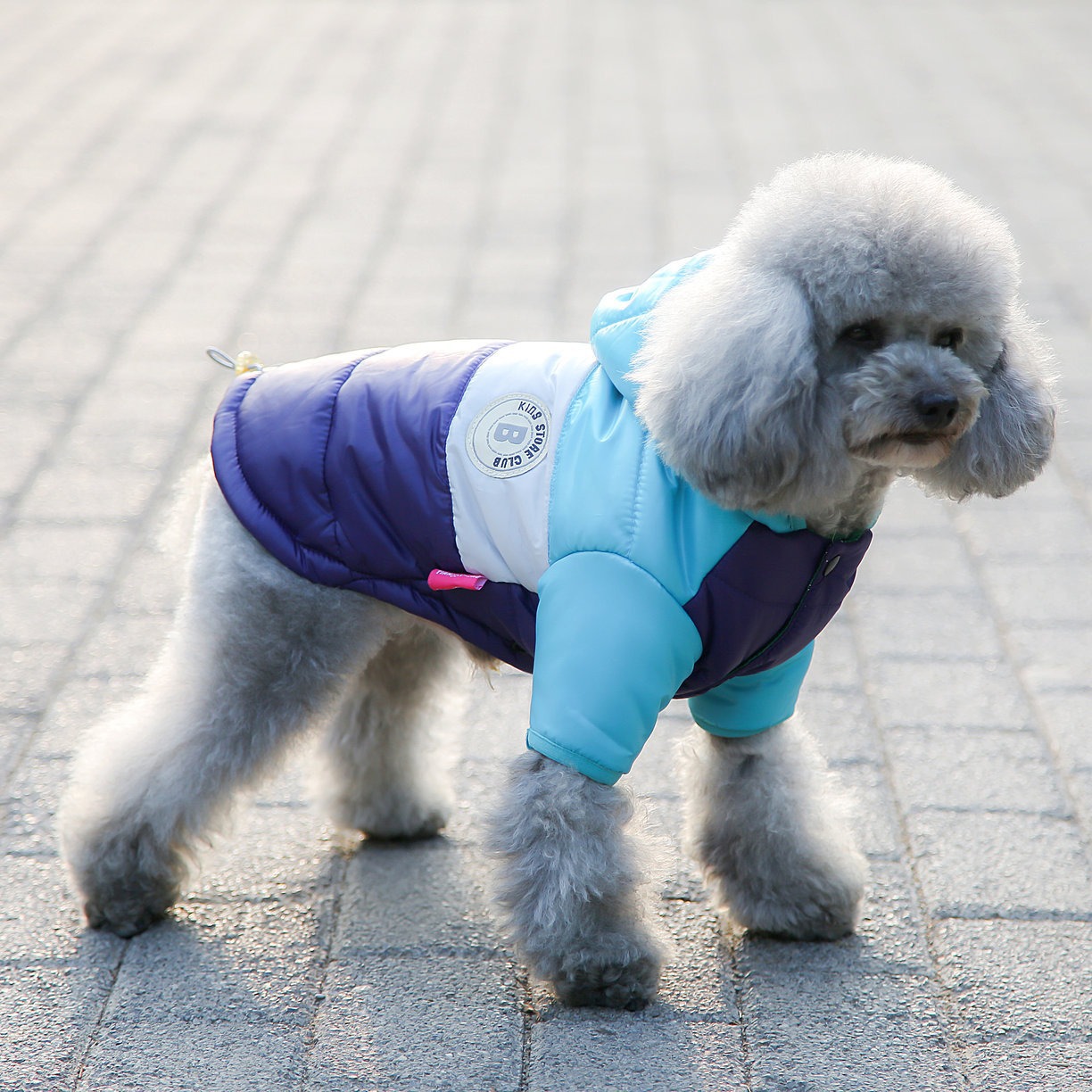 Pet Vest Pet Supplies Winter C - Winter Clothing Options avis et prix